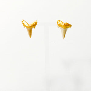 Real shark teeth with gold painted gums on stud earrings.