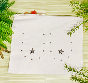 Canvas pouch bedazzaled with silver metal studs to outline the shape of breasts with metal stars for the nipples. The pouch is on a wooden background surrounded by faux plants. 